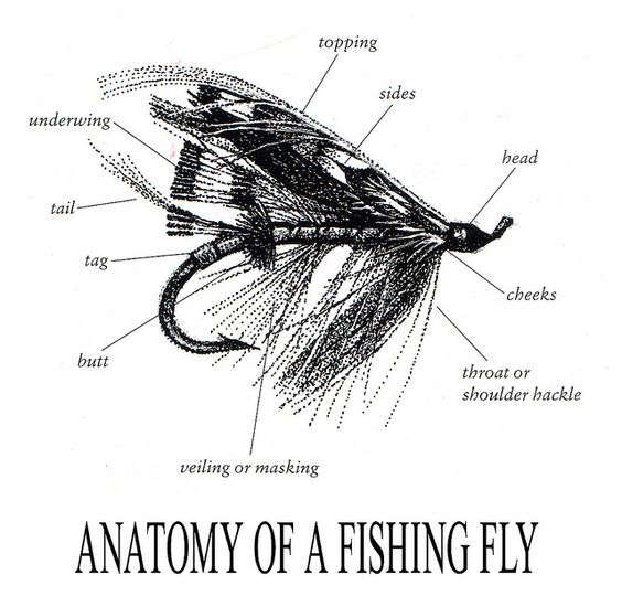 FLYPROPORTIONS HOOKED ON TYING