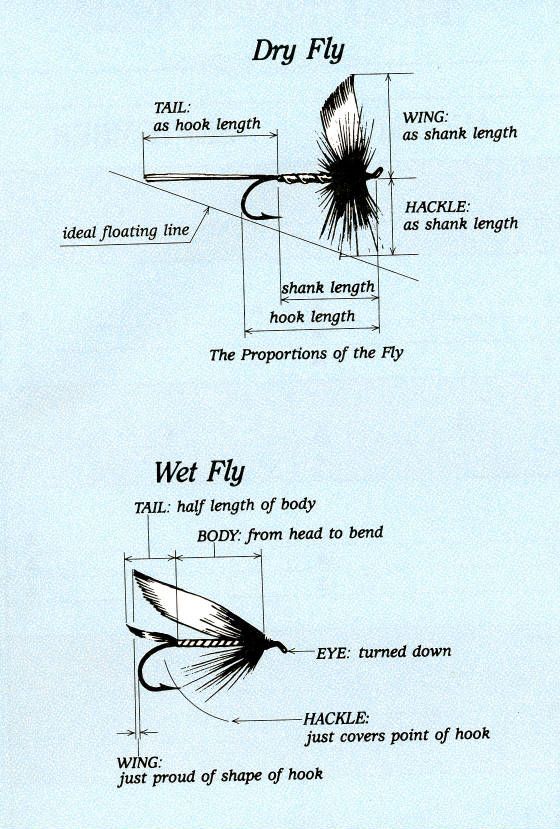 FLY PROPORTIONS HOOKED ON TYING FLY PROPORTIONS HOOKED ON TYING