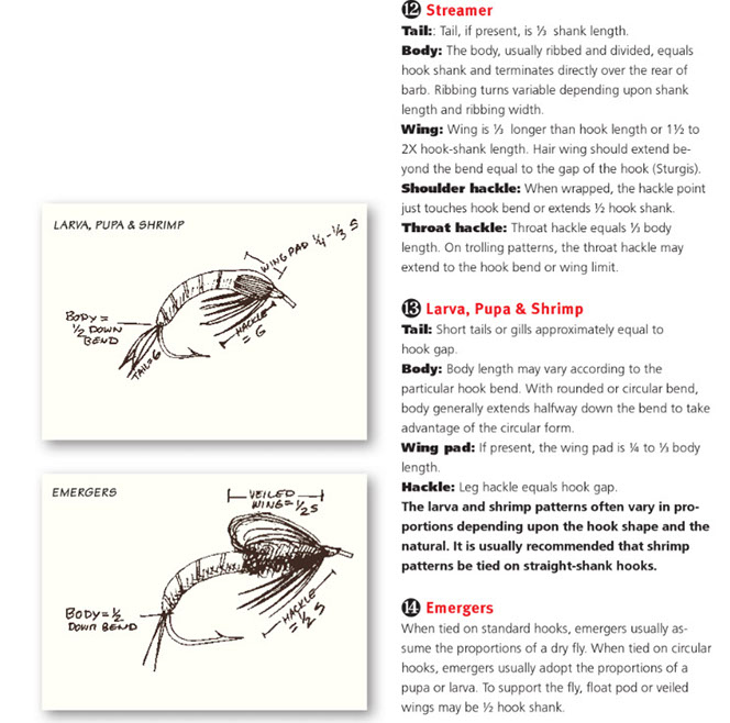 Fly tying Proportions of fly