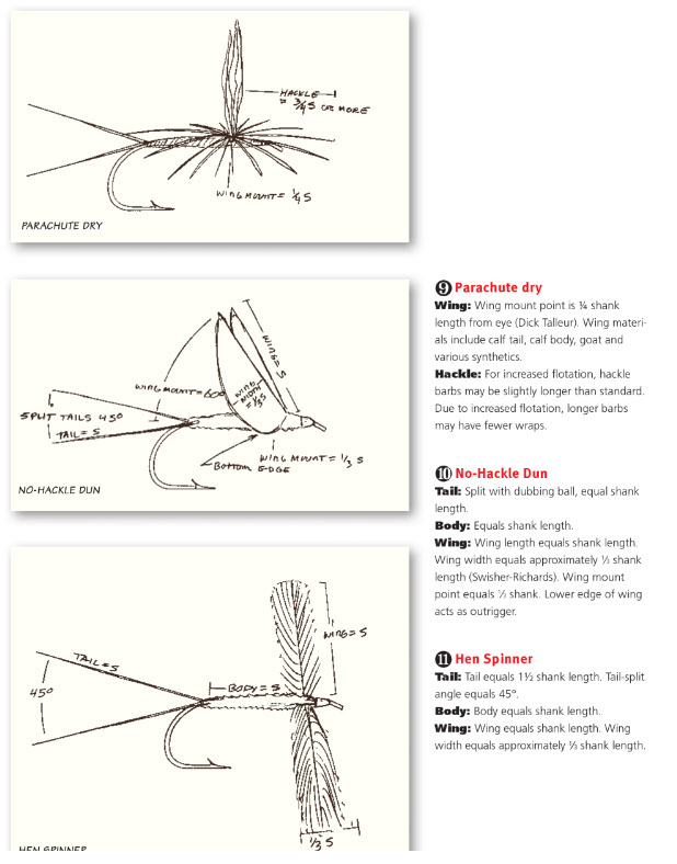 Fly tying Proportions of fly