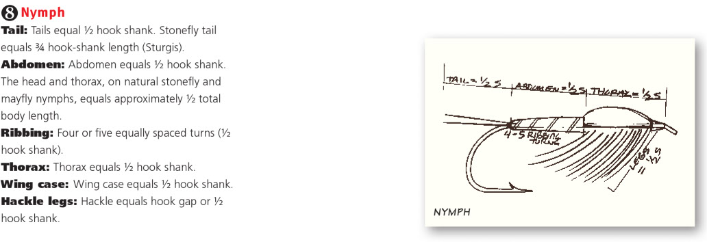 Fly tying Proportions of fly